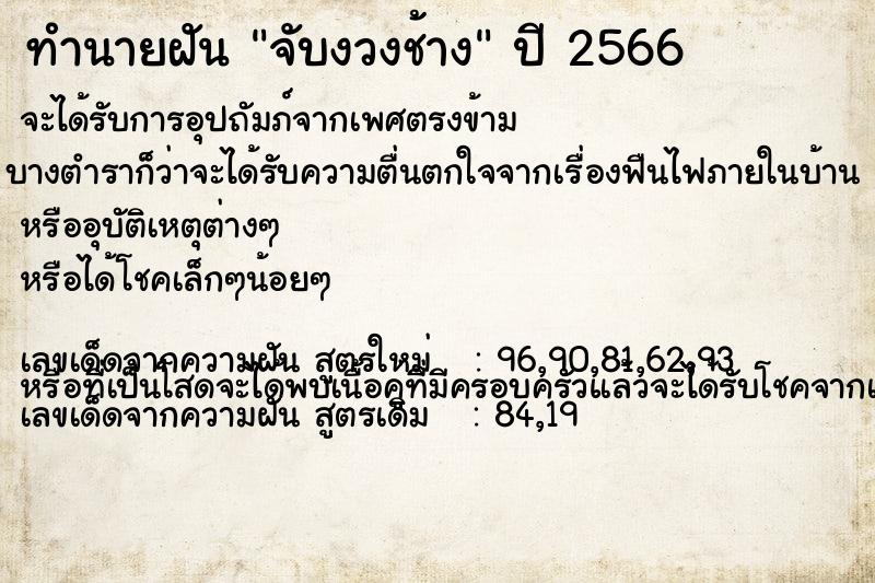 ทำนายฝัน จับงวงช้าง ทำนายฝัน จับงวงช้าง