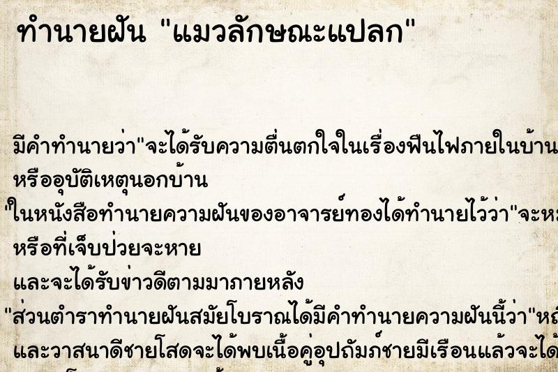 ทำนายฝันแมวลักษณะแปลก ทำนายฝันทำนายฝันแมวลักษณะแปลก