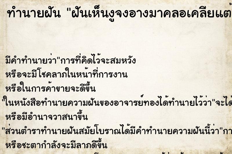 ทำนายฝันฝันเห็นงูจงอางมาคลอเคลียแต่ไม่กัด ทำนายฝันทำนายฝันฝันเห็นงูจงอางมาคลอเคลียแต่ไม่กัด
