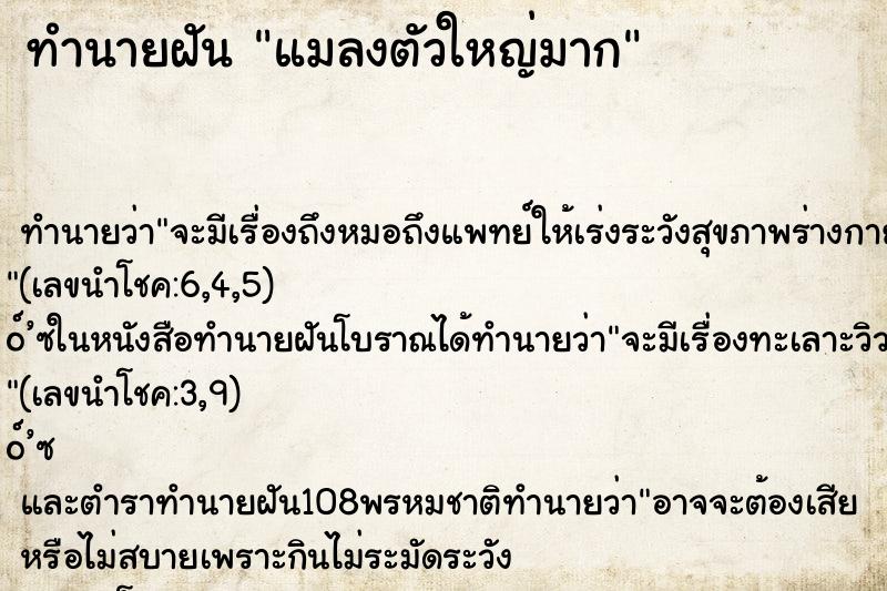 ทำนายฝัน แมลงตัวใหญ่มาก ทำนายฝัน แมลงตัวใหญ่มาก