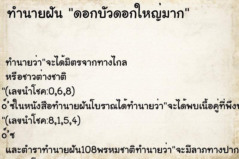 ทำนายฝัน ดอกบัวดอกใหญ่มาก ทำนายฝัน ดอกบัวดอกใหญ่มาก