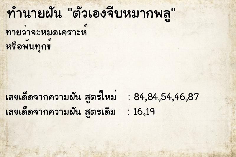 ทำนายฝันตัวเองจีบหมากพลู ทำนายฝันทำนายฝันตัวเองจีบหมากพลู