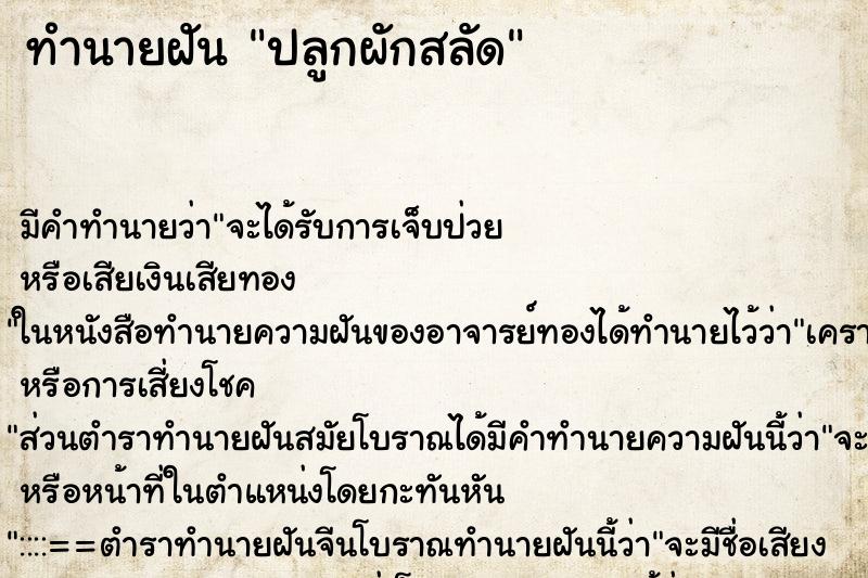 ทำนายฝันทำนายฝันปลูกผักสลัด