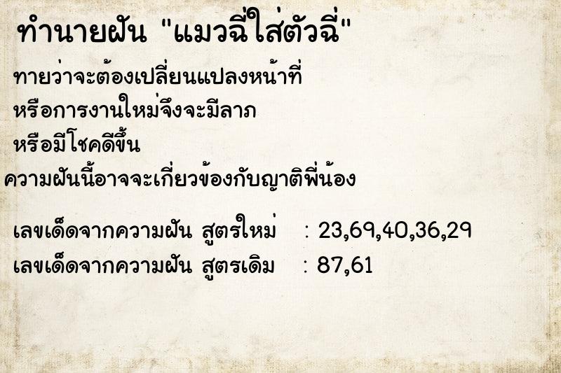 ทำนายฝันทำนายฝันแมวฉี่ใส่ตัวฉี่