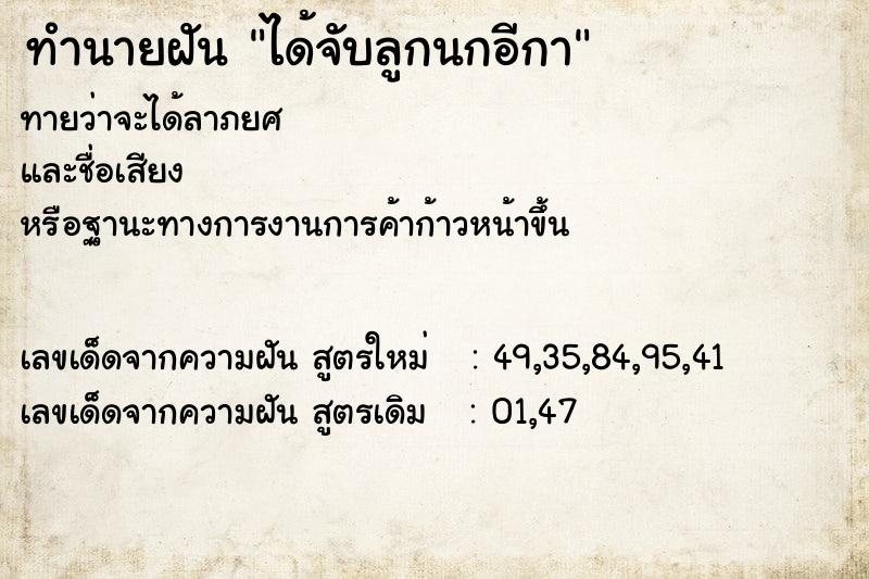 ทำนายฝันทำนายฝันได้จับลูกนกอีกา