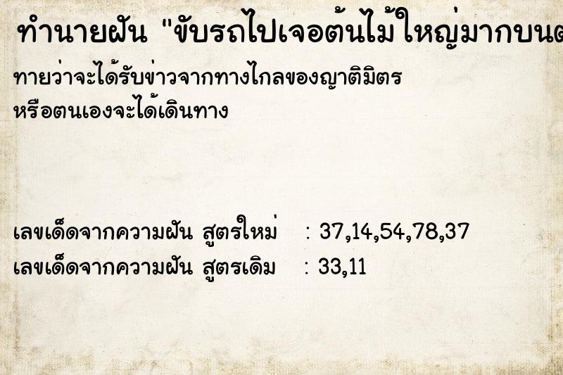 ทำนายฝันขับรถไปเจอต้นไม้ใหญ่มากบนต้นมีรังผึ้งเต็มไปหมด ทำนายฝันทำนายฝันขับรถไปเจอต้นไม้ใหญ่มากบนต้นมีรังผึ้งเต็มไปหมด