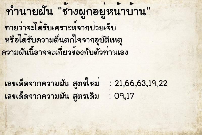 ทำนายฝันช้างผูกอยู่หน้าบ้าน ทำนายฝันทำนายฝันช้างผูกอยู่หน้าบ้าน