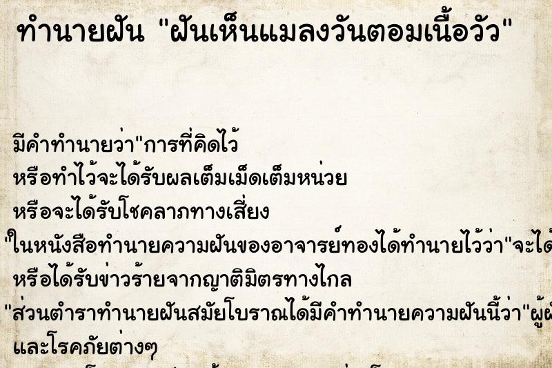 ทำนายฝัน ฝันเห็นแมลงวันตอมเนื้อวัว ทำนายฝัน ฝันเห็นแมลงวันตอมเนื้อวัว