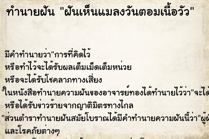 ทำนายฝัน ฝันเห็นแมลงวันตอมเนื้อวัว ตำราโบราณ แม่นที่สุดในโลก