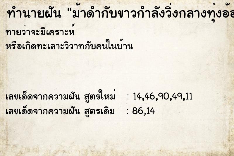 ทำนายฝันม้าดำกับขาวกำลังวิ่งกลางทุ่งอ้อย ทำนายฝันทำนายฝันม้าดำกับขาวกำลังวิ่งกลางทุ่งอ้อย