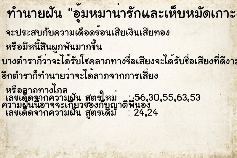 ทำนายฝัน อุ้มหมาน่ารักและเห็บหมัดเกาะเต็มเลย ทำนายฝัน อุ้มหมาน่ารักและเห็บหมัดเกาะเต็มเลย