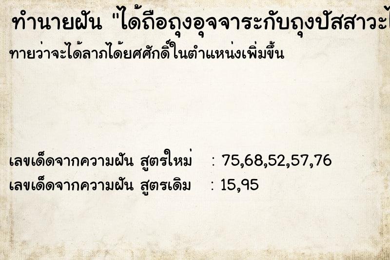 ทำนายฝันทำนายฝันได้ถือถุงอุจจาระกับถุงปัสสาวะไปทิ้ง