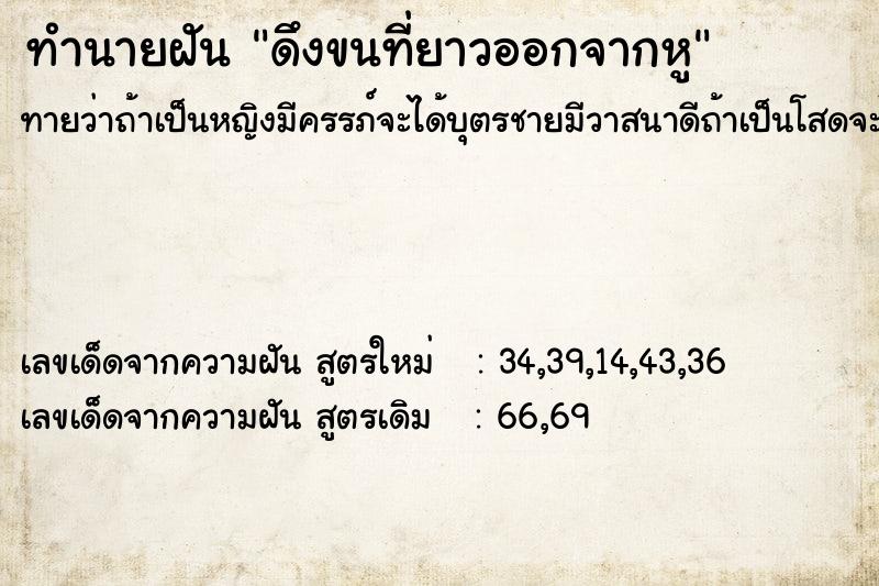 ทำนายฝันดึงขนที่ยาวออกจากหู ทำนายฝันทำนายฝันดึงขนที่ยาวออกจากหู