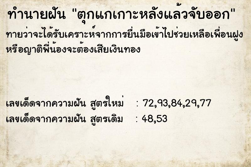 ทำนายฝันทำนายฝันตุกแกเกาะหลังแล้วจับออก