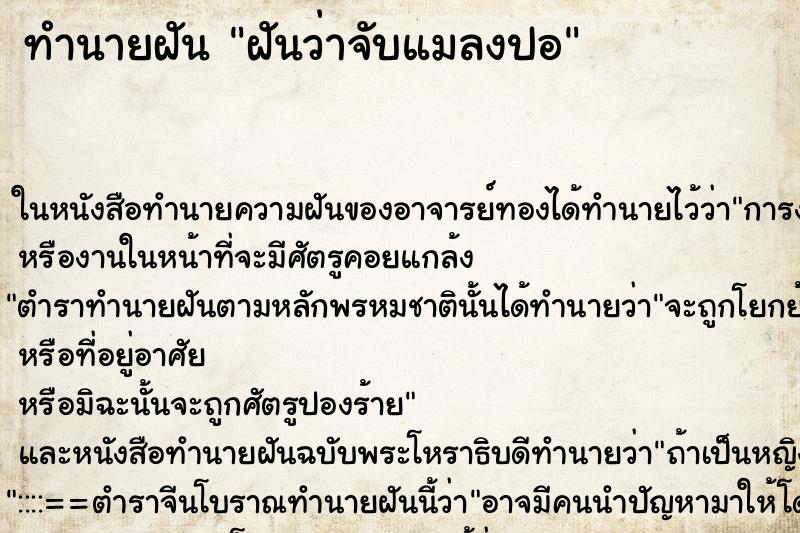 ทำนายฝันทำนายฝันฝันว่าจับแมลงปอ