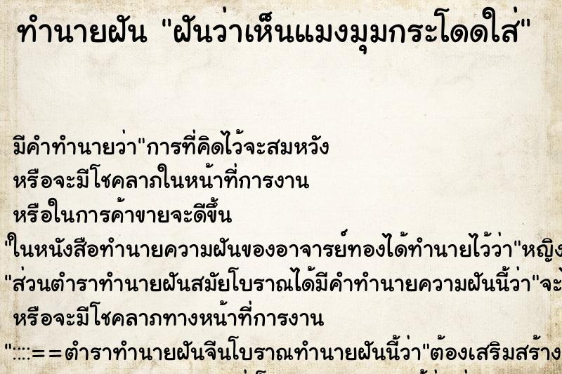 ทำนายฝัน ฝันว่าเห็นแมงมุมกระโดดใส่ ทำนายฝัน ฝันว่าเห็นแมงมุมกระโดดใส่
