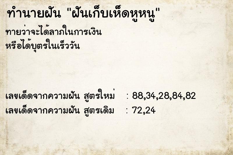 ทำนายฝันฝันเก็บเห็ดหูหนู ทำนายฝันทำนายฝันฝันเก็บเห็ดหูหนู