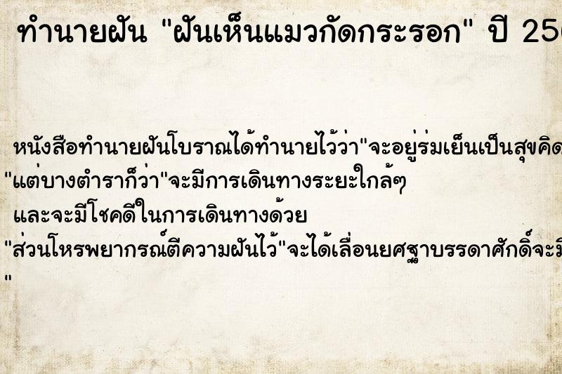 ทำนายฝัน ฝันเห็นแมวกัดกระรอก ทำนายฝัน ฝันเห็นแมวกัดกระรอก