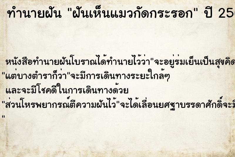 ทำนายฝัน ฝันเห็นแมวกัดกระรอก ตำราโบราณ แม่นที่สุดในโลก