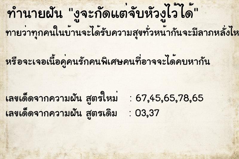 ทำนายฝันงูจะกัดแต่จับหัวงูไว้ได้ ทำนายฝันทำนายฝันงูจะกัดแต่จับหัวงูไว้ได้