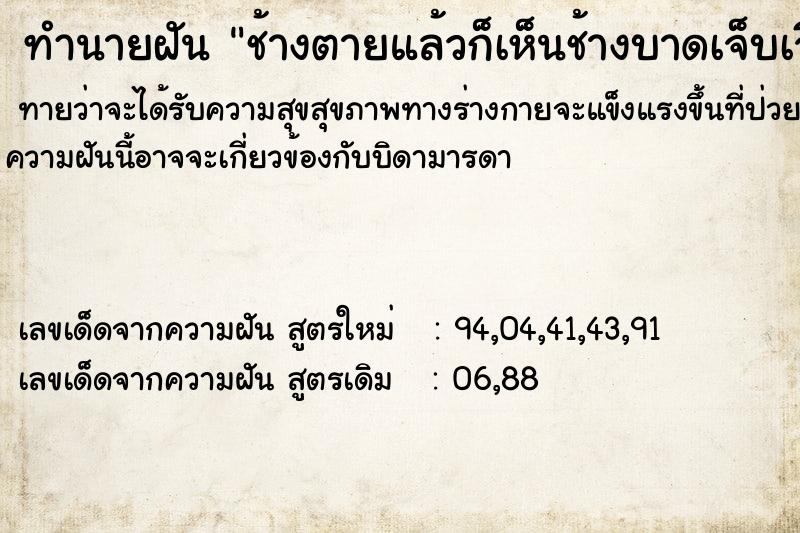 ทำนายฝันทำนายฝันช้างตายแล้วก็เห็นช้างบาดเจ็บเจียนตาย