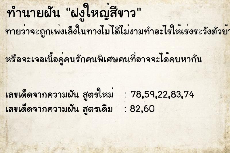 ทำนายฝันฝงูใหญ่สีขาว ทำนายฝันทำนายฝันฝงูใหญ่สีขาว