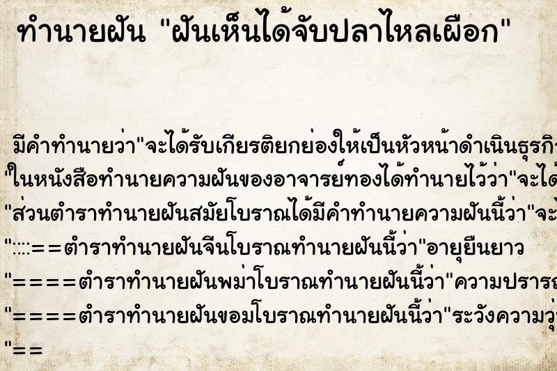 ทำนายฝัน ฝันเห็นได้จับปลาไหลเผือก ทำนายฝัน ฝันเห็นได้จับปลาไหลเผือก
