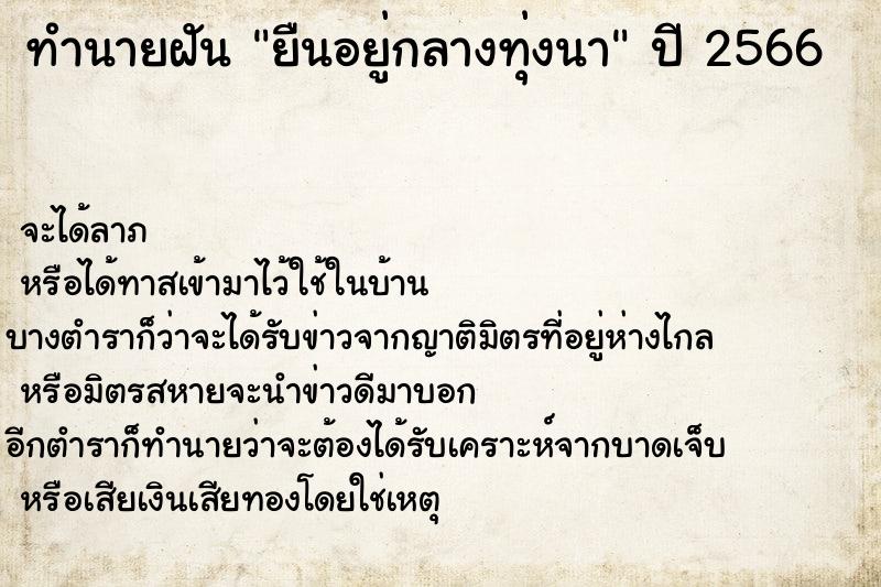 ทำนายฝันยืนอยู่กลางทุ่งนา ทำนายฝันทำนายฝันยืนอยู่กลางทุ่งนา