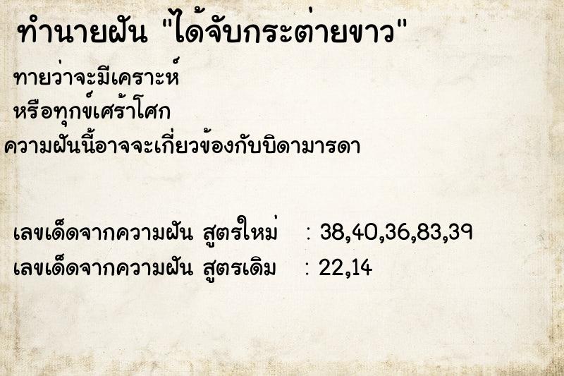 ทำนายฝันได้จับกระต่ายขาว ทำนายฝันทำนายฝันได้จับกระต่ายขาว