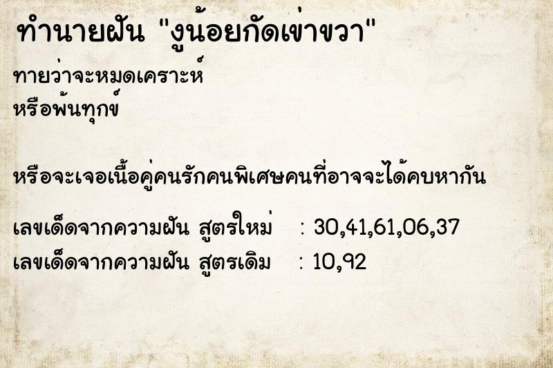 ทำนายฝันทำนายฝันงูน้อยกัดเข่าขวา