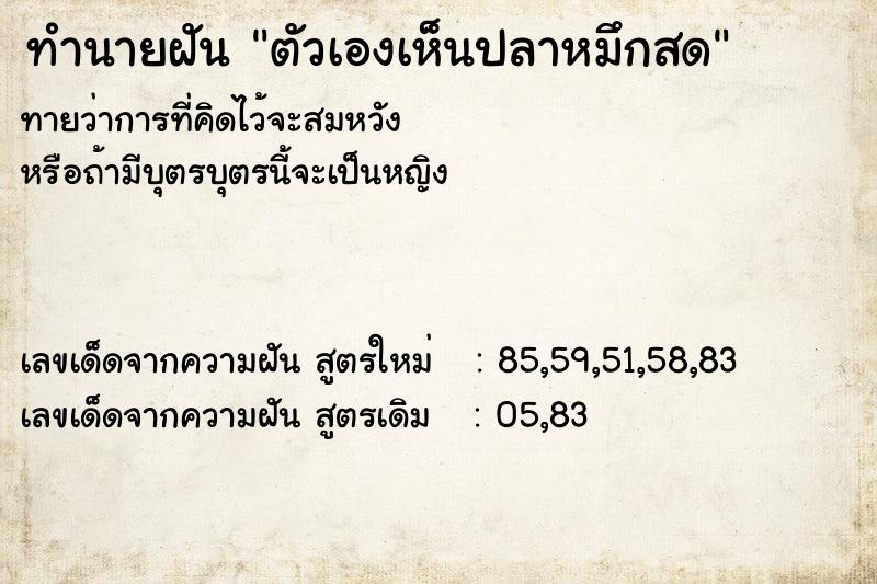 ทำนายฝันตัวเองเห็นปลาหมึกสด ทำนายฝันทำนายฝันตัวเองเห็นปลาหมึกสด
