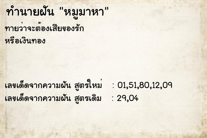 ทำนายฝัน หมูมาหา ทำนายฝัน หมูมาหา