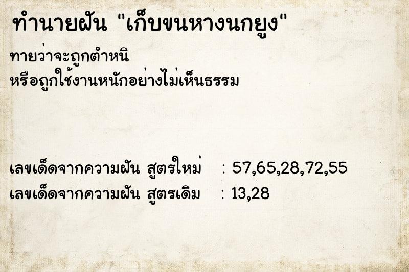 ทำนายฝันเก็บขนหางนกยูง ทำนายฝันทำนายฝันเก็บขนหางนกยูง