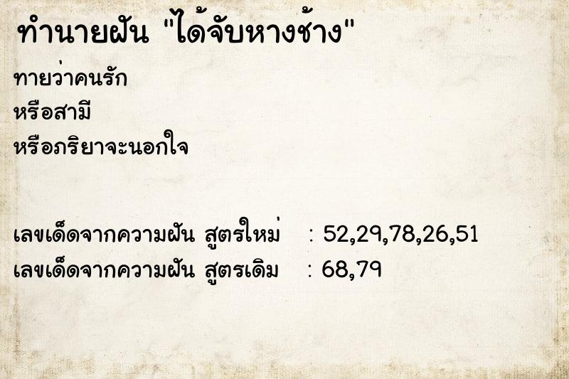 ทำนายฝันทำนายฝันได้จับหางช้าง