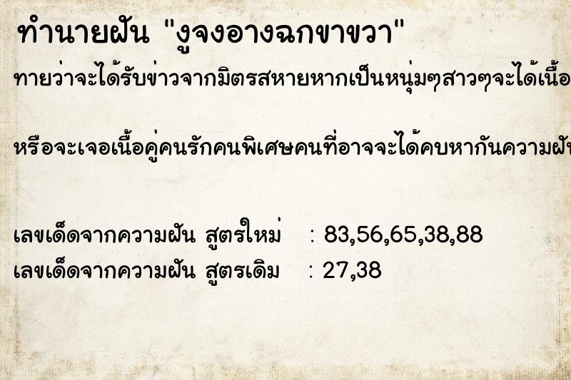 ทำนายฝันงูจงอางฉกขาขวา ทำนายฝันทำนายฝันงูจงอางฉกขาขวา