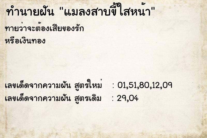 ทำนายฝันแมลงสาบขี้ใสหน้า ทำนายฝันทำนายฝันแมลงสาบขี้ใสหน้า