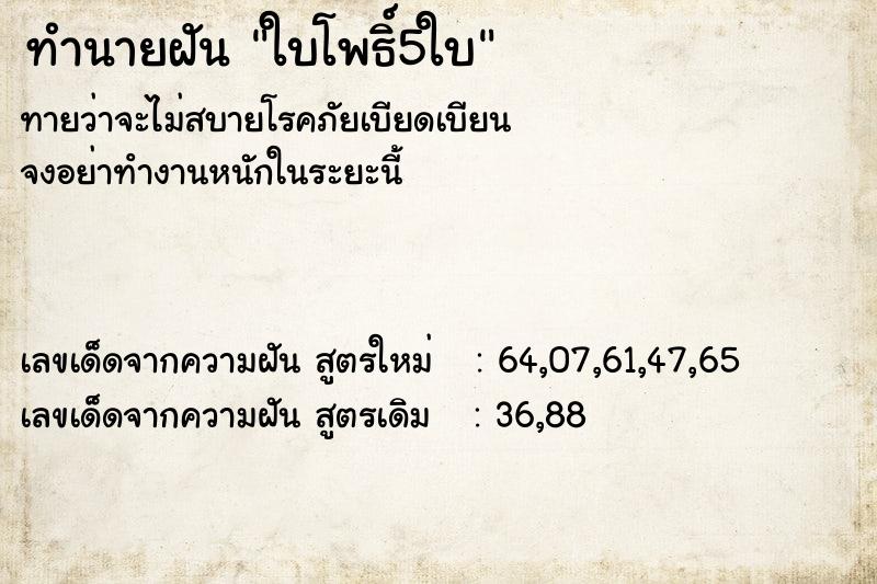 ทำนายฝันใบโพธิ์5ใบ ทำนายฝันทำนายฝันใบโพธิ์5ใบ