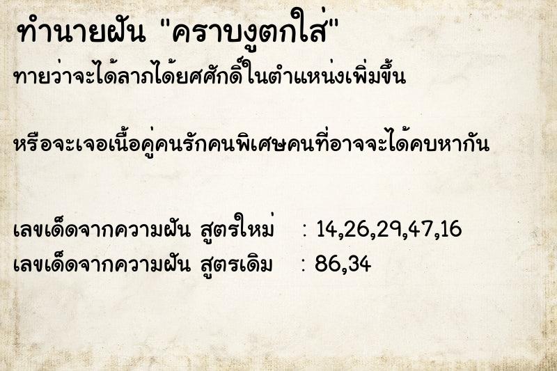 ทำนายฝันคราบงูตกใส่ ทำนายฝันทำนายฝันคราบงูตกใส่