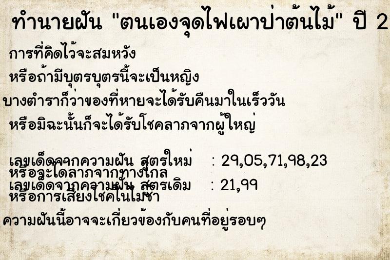 ทำนายฝัน ตนเองจุดไฟเผาป่าต้นไม้ แม่นๆ ฟรี ด้วยตำราหนังสือทำนายฝันโบราณ ทำนายฝันตนเองจุดไฟเผาป่าต้นไม้