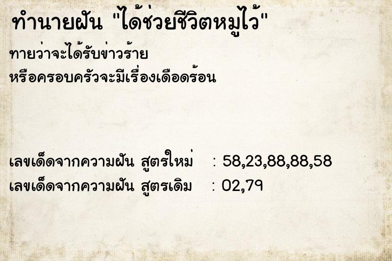 ทำนายฝันทำนายฝันได้ช่วยชีวิตหมูไว้