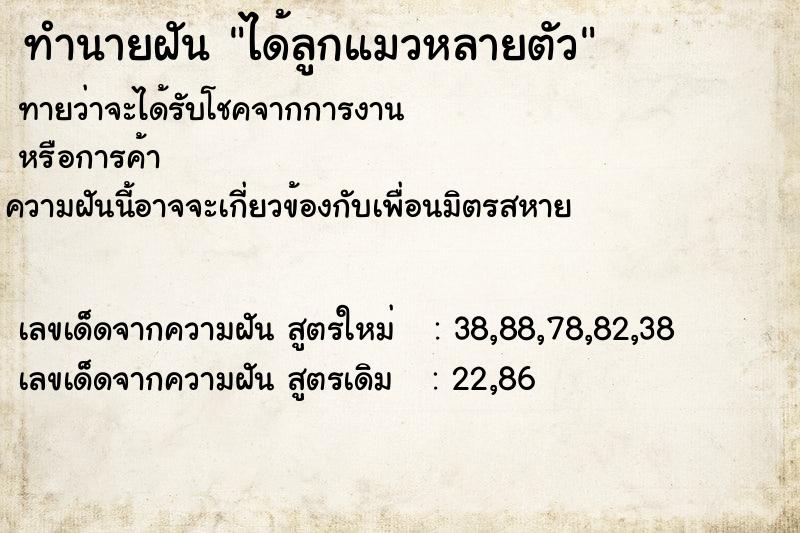 ทำนายฝันได้ลูกแมวหลายตัว ทำนายฝันทำนายฝันได้ลูกแมวหลายตัว