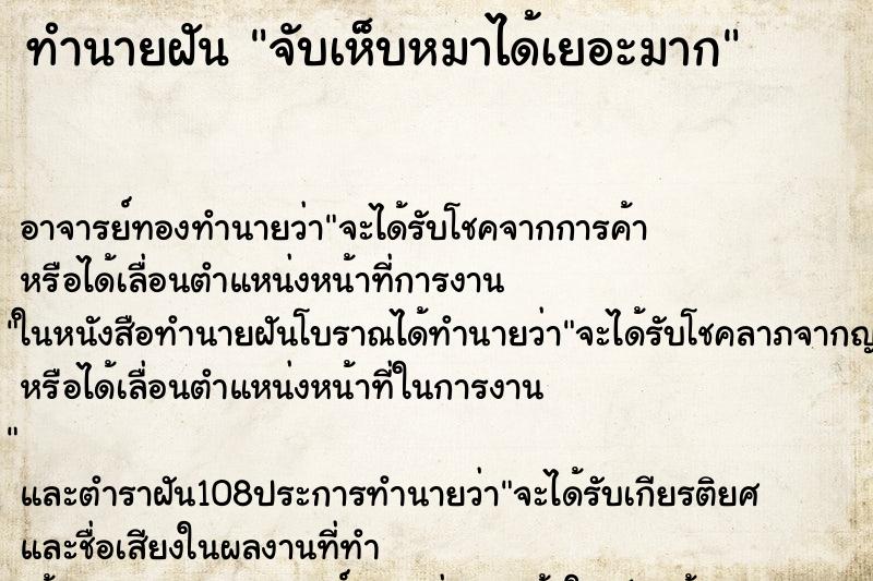 ทำนายฝัน จับเห็บหมาได้เยอะมาก ทำนายฝัน จับเห็บหมาได้เยอะมาก