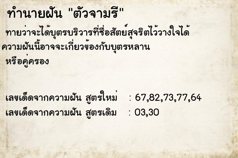 ทำนายฝัน ตัวจามรี ทำนายฝัน ตัวจามรี
