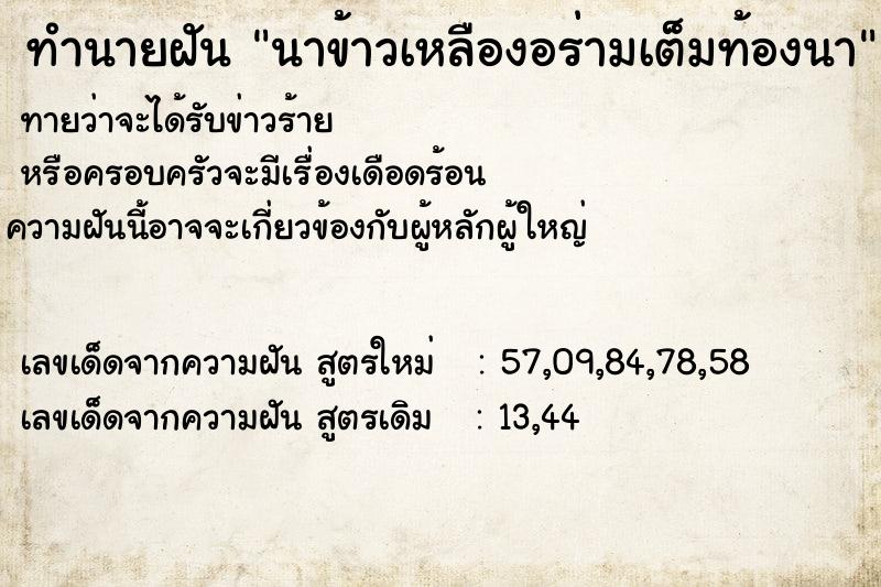 ทำนายฝันนาข้าวเหลืองอร่ามเต็มท้องนา ทำนายฝันทำนายฝันนาข้าวเหลืองอร่ามเต็มท้องนา