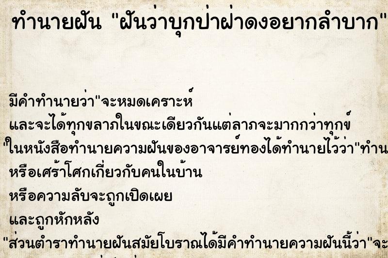 ทำนายฝัน ฝันว่าบุกป่าฝ่าดงอยากลำบาก ทำนายฝัน ฝันว่าบุกป่าฝ่าดงอยากลำบาก