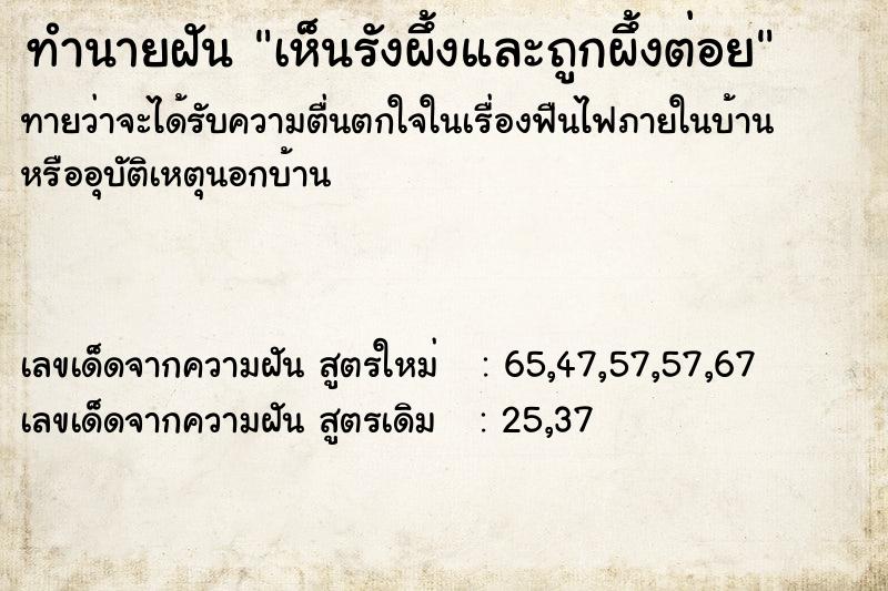ทำนายฝันเห็นรังผึ้งและถูกผึ้งต่อย ทำนายฝันทำนายฝันเห็นรังผึ้งและถูกผึ้งต่อย