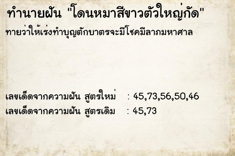 ทำนายฝันทำนายฝันโดนหมาสีขาวตัวใหญ่กัด