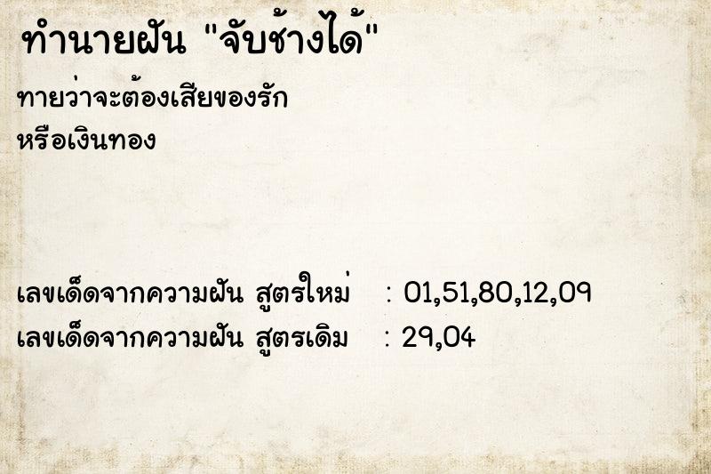 ทำนายฝันทำนายฝันจับช้างได้
