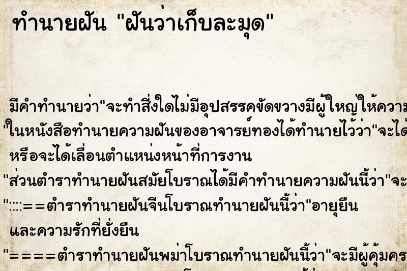ทำนายฝัน ฝันว่าเก็บละมุด ทำนายฝัน ฝันว่าเก็บละมุด