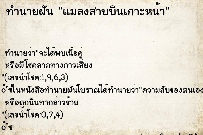 ทำนายฝัน แมลงสาบบินเกาะหน้า